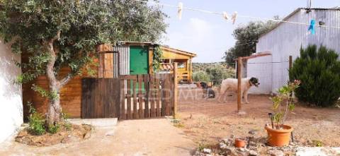 Quintinha com habitações e infraestruturas — alqueva