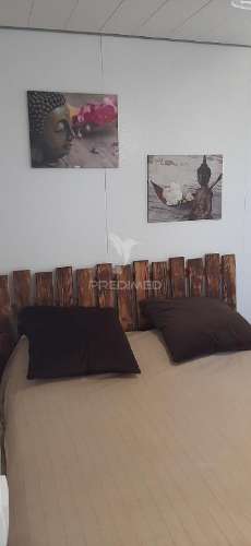 Quintinha com habitações e infraestruturas — alqueva