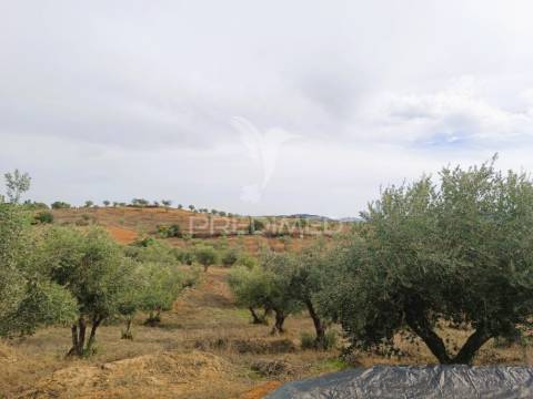 Quintinha com habitações e infraestruturas — alqueva