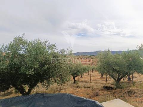 Quintinha com habitações e infraestruturas — alqueva