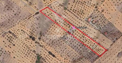 Quintinha com habitações e infraestruturas — alqueva