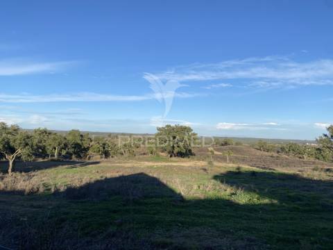 Casa de campo t6 em santiago do cacém