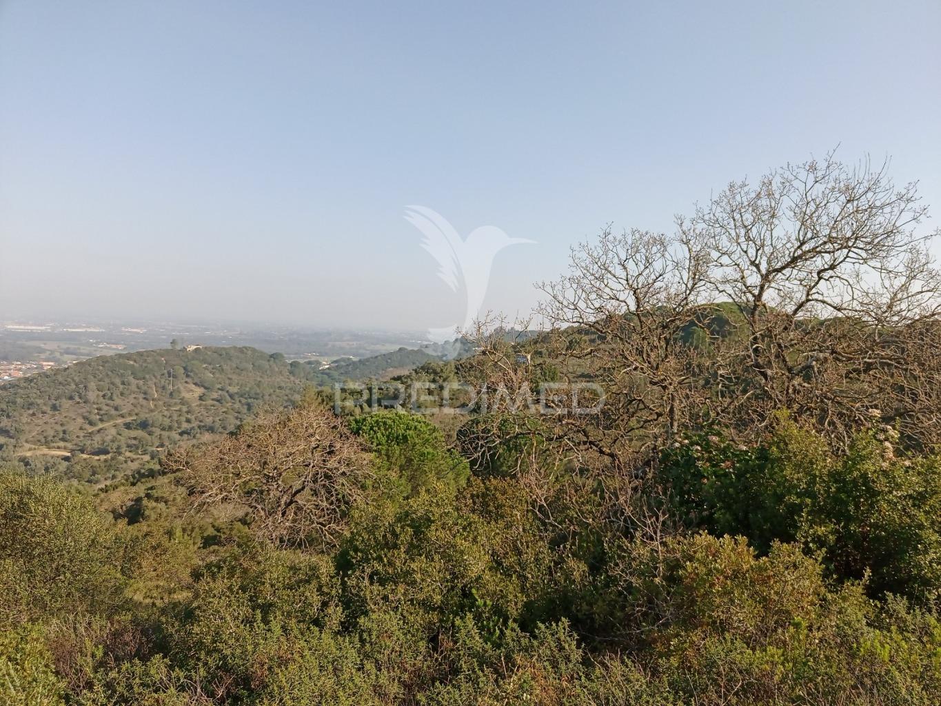 Terreno rustico em são francisco da serra