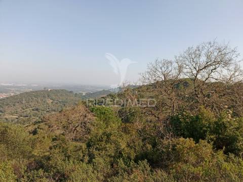 Terreno rustico em são francisco da serra