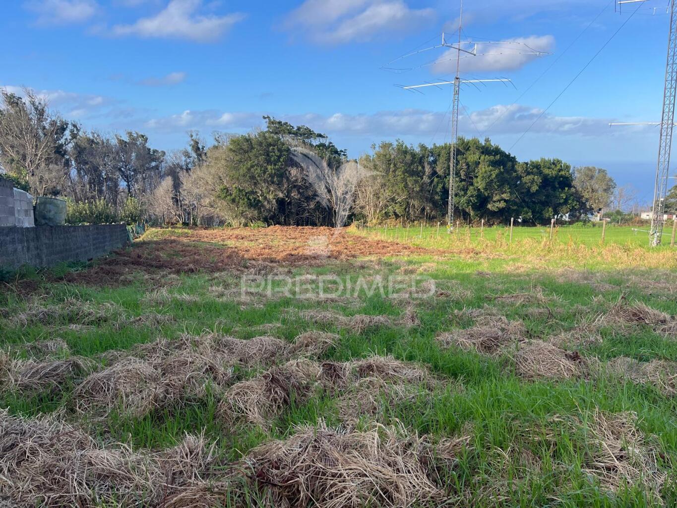 Palheiro e terreno (1.300m2) santa porto moniz