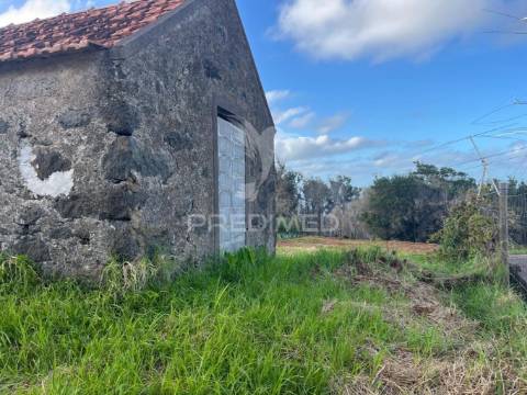 Palheiro e terreno (1.300m2) santa porto moniz