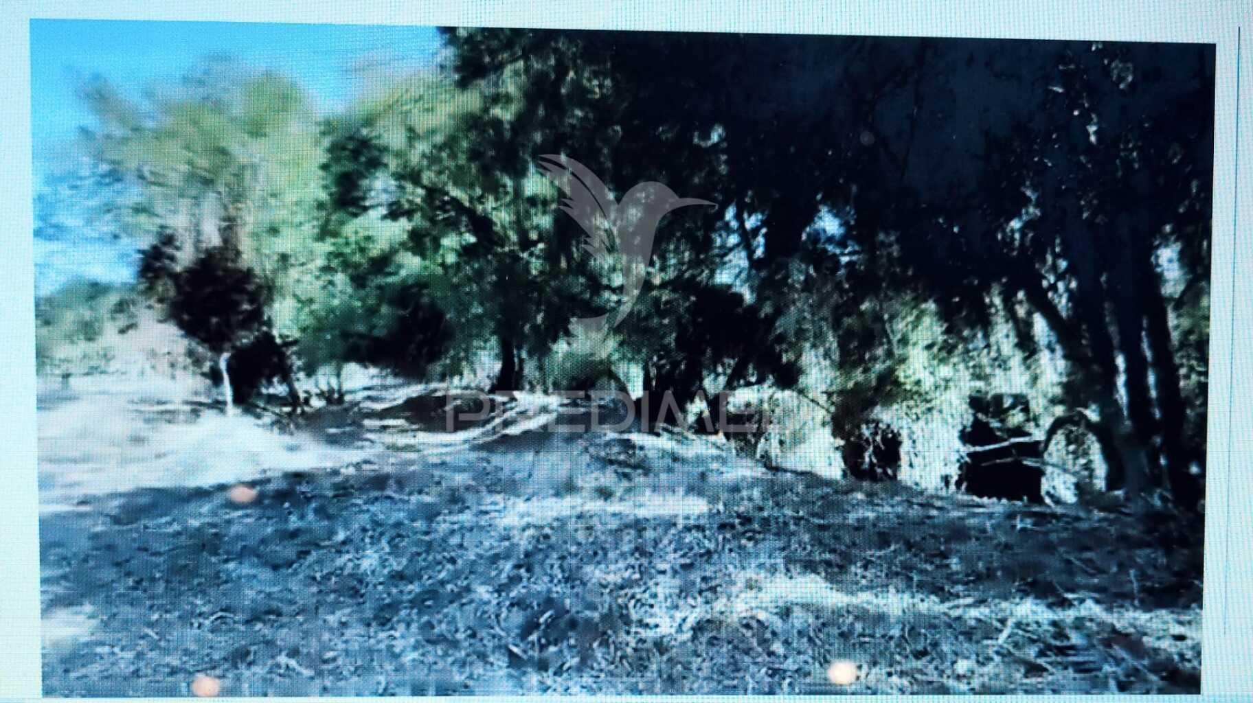 Terreno rustico na várzea de grândola