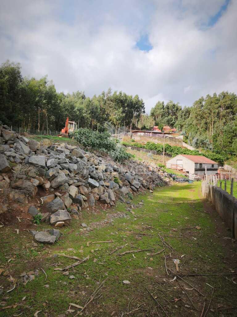 Vendo quinta na camacha com  (12.000 m2)