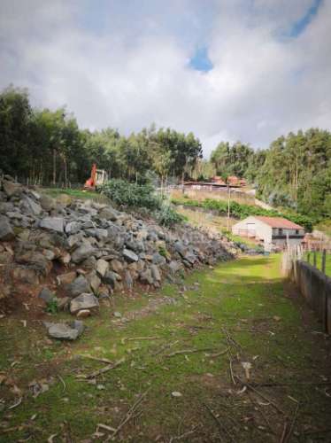 Vendo quinta na camacha com  (12.000 m2)