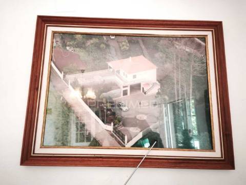 Vendo quinta na camacha com  (12.000 m2)