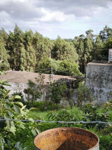 Vendo quinta na camacha com  (12.000 m2)