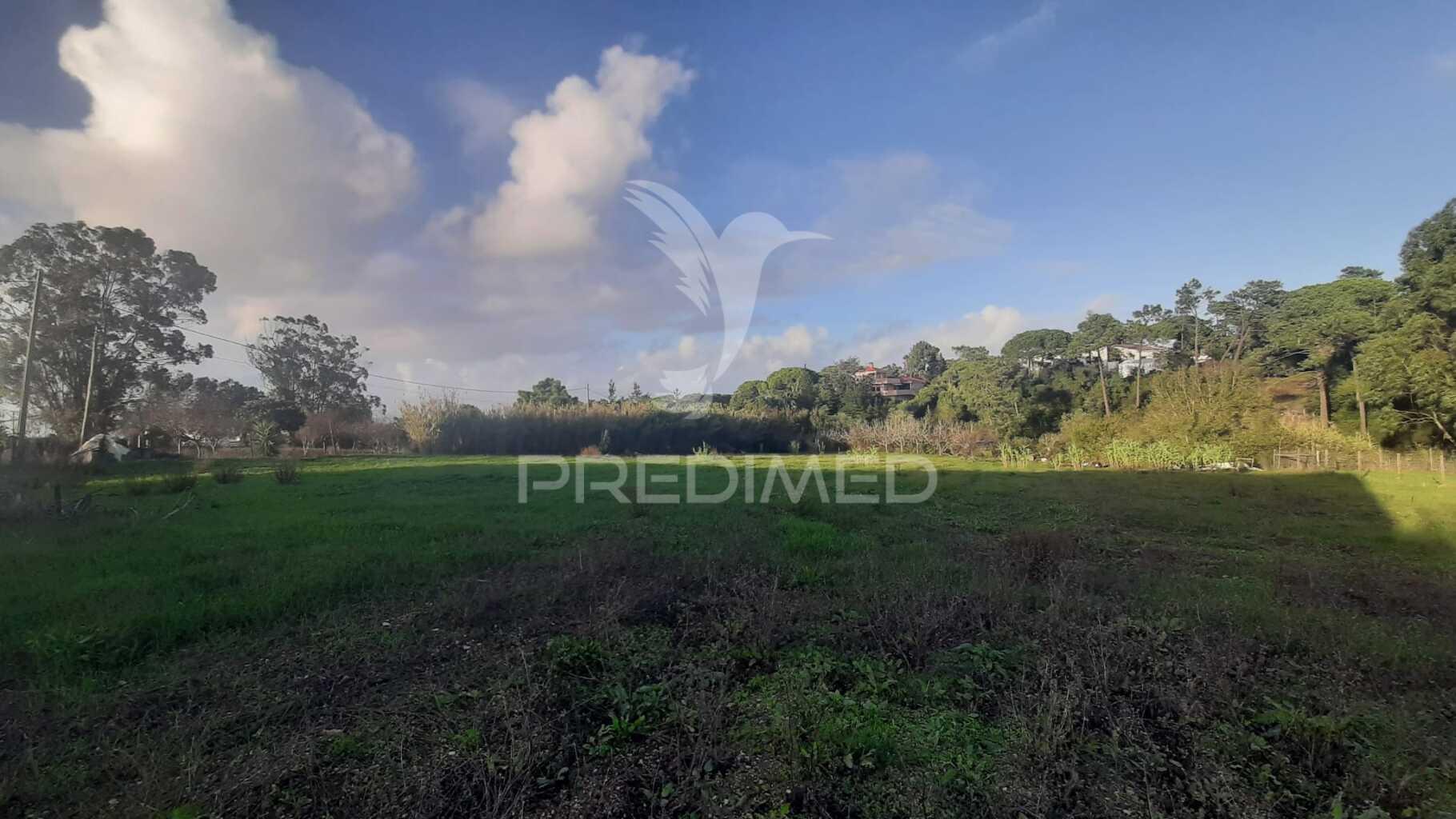 Terreno urbano com 3545 m² na zona de sesimbra / zambujal, incluindo armazém de 120 m² e viabilidade de construção até 138,18 m².