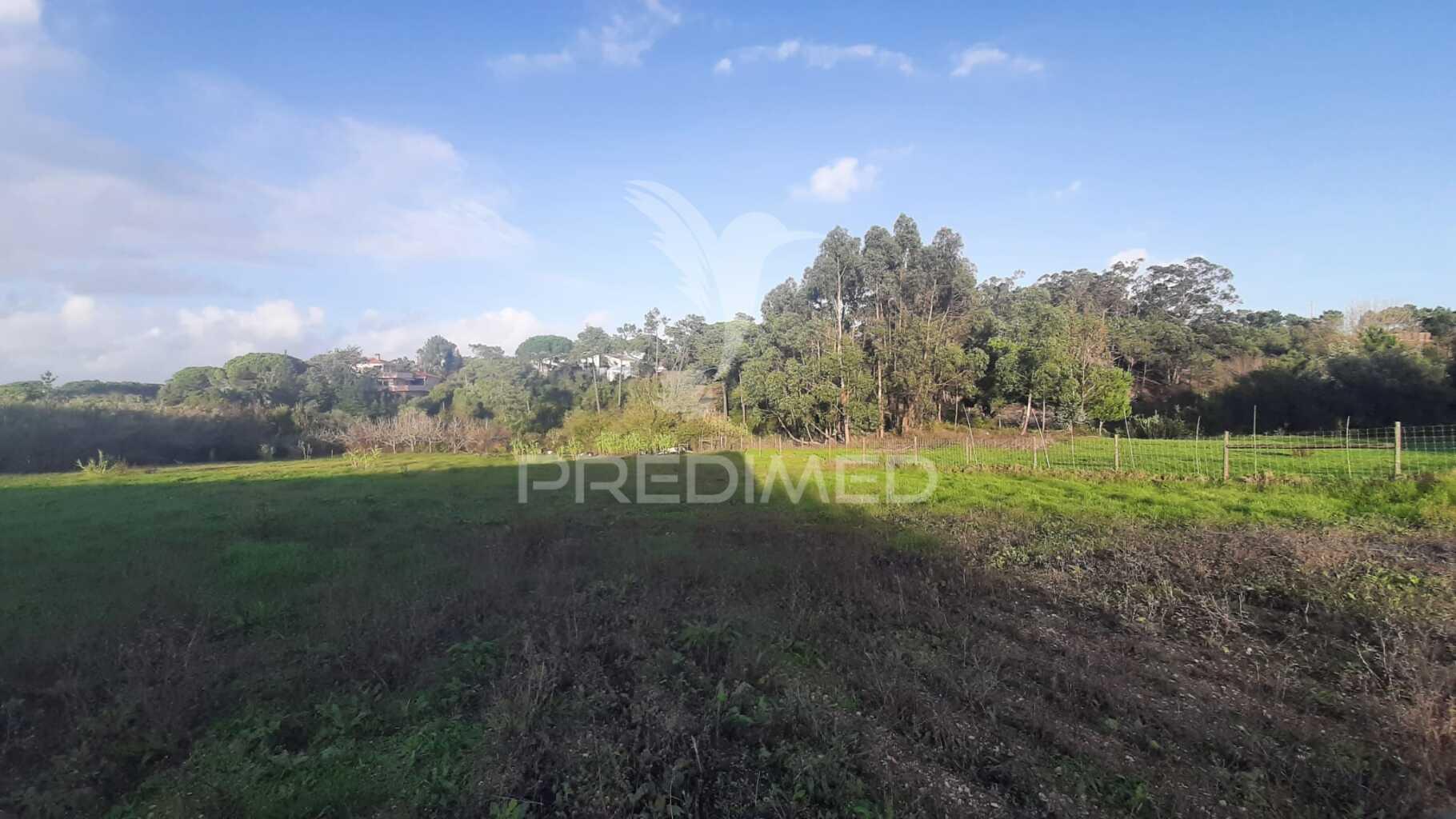 Terreno urbano com 3545 m² na zona de sesimbra / zambujal, incluindo armazém de 120 m² e viabilidade de construção até 138,18 m².