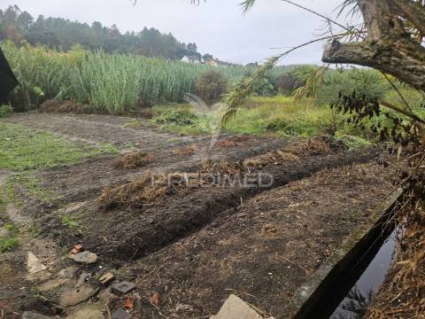 Oportunidade: ruína com terreno no coração do interior