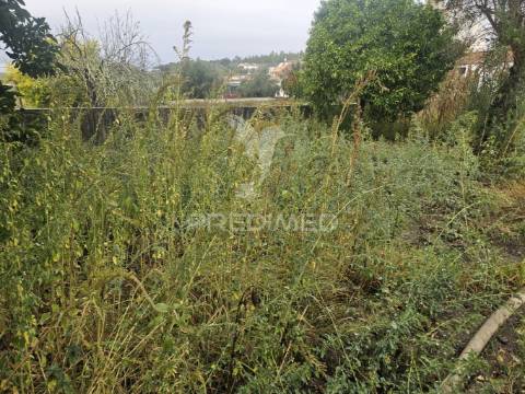 Oportunidade: ruína com terreno no coração do interior