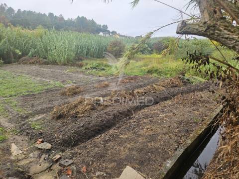 Oportunidade: ruína com terreno no coração do interior