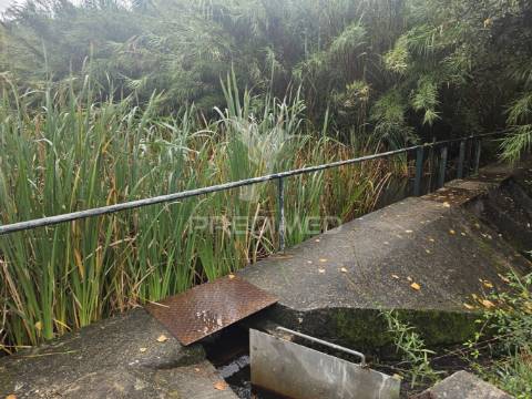 Oportunidade: ruína com terreno no coração do interior