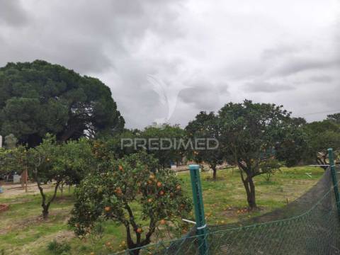 Terreno para construção de moradia