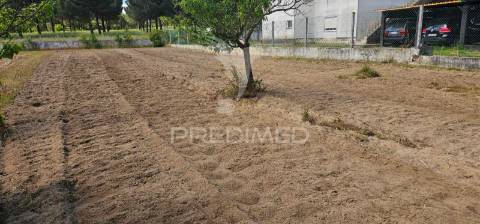 Terreno para construção, coruche