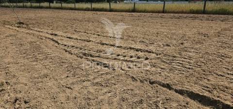 Terreno para construção, coruche