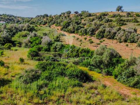 Ruína com lote de 10440m2, alcantarilha