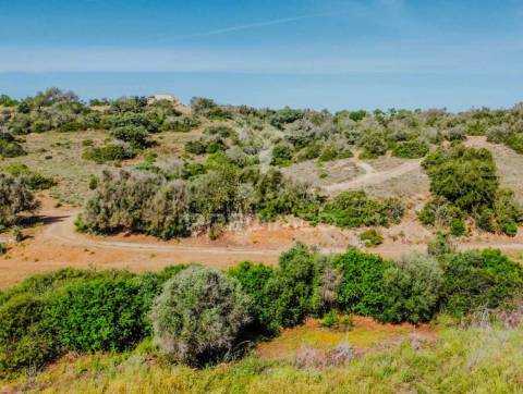 Ruína com lote de 10440m2, alcantarilha