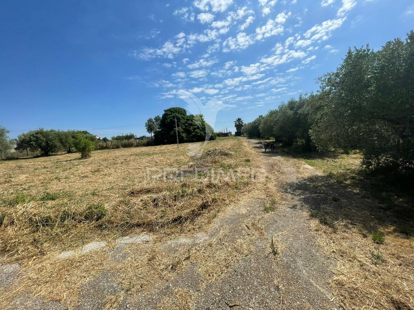 Terreno no concelho da azambuja, com moradia para recuperar