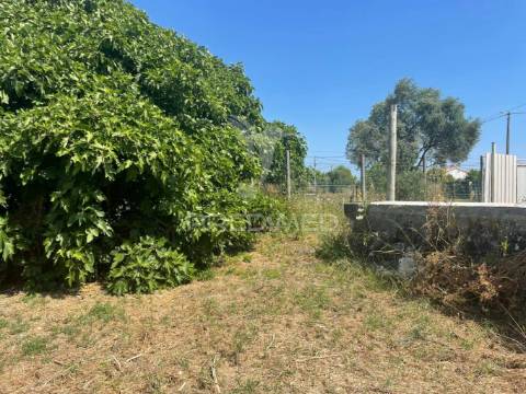 Terreno no concelho da azambuja, com moradia para recuperar