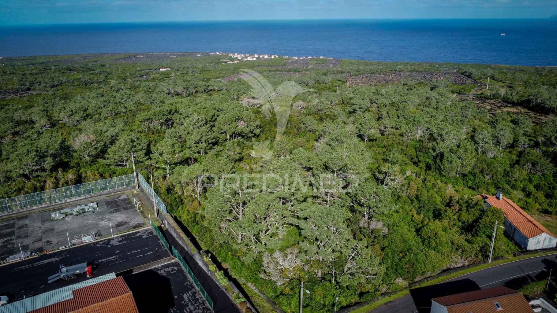 Terreno para venda em são roque do pico, santa luzia