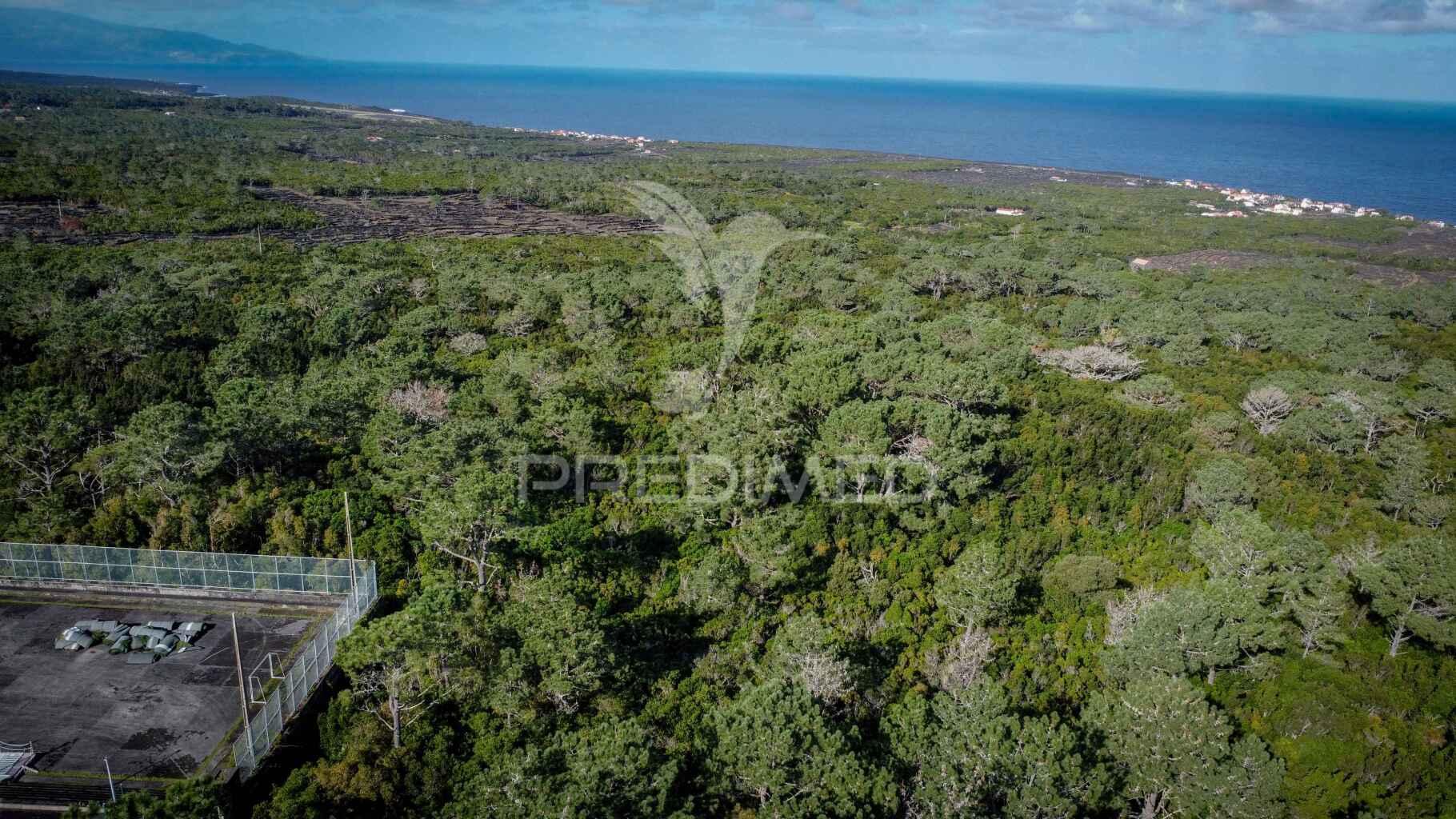 Terreno para venda em são roque do pico, santa luzia