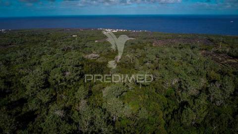 Terreno para venda em são roque do pico, santa luzia