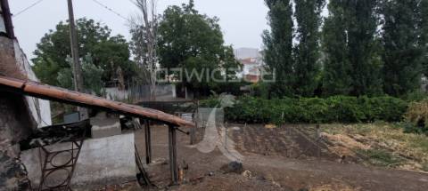 Edificio antiga moagem, casão e terreno rústico