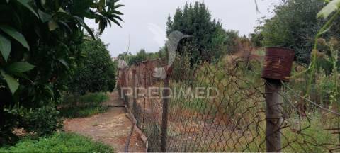Edificio antiga moagem, casão e terreno rústico