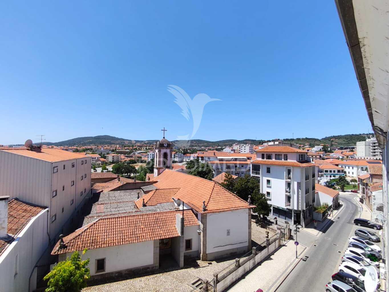 Apartamento t1 macedo cavaleiros