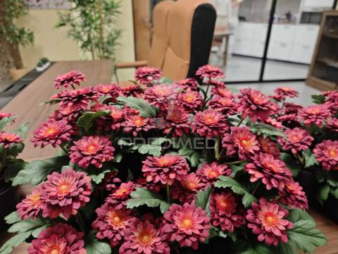 Espaço para escritórios comerciais