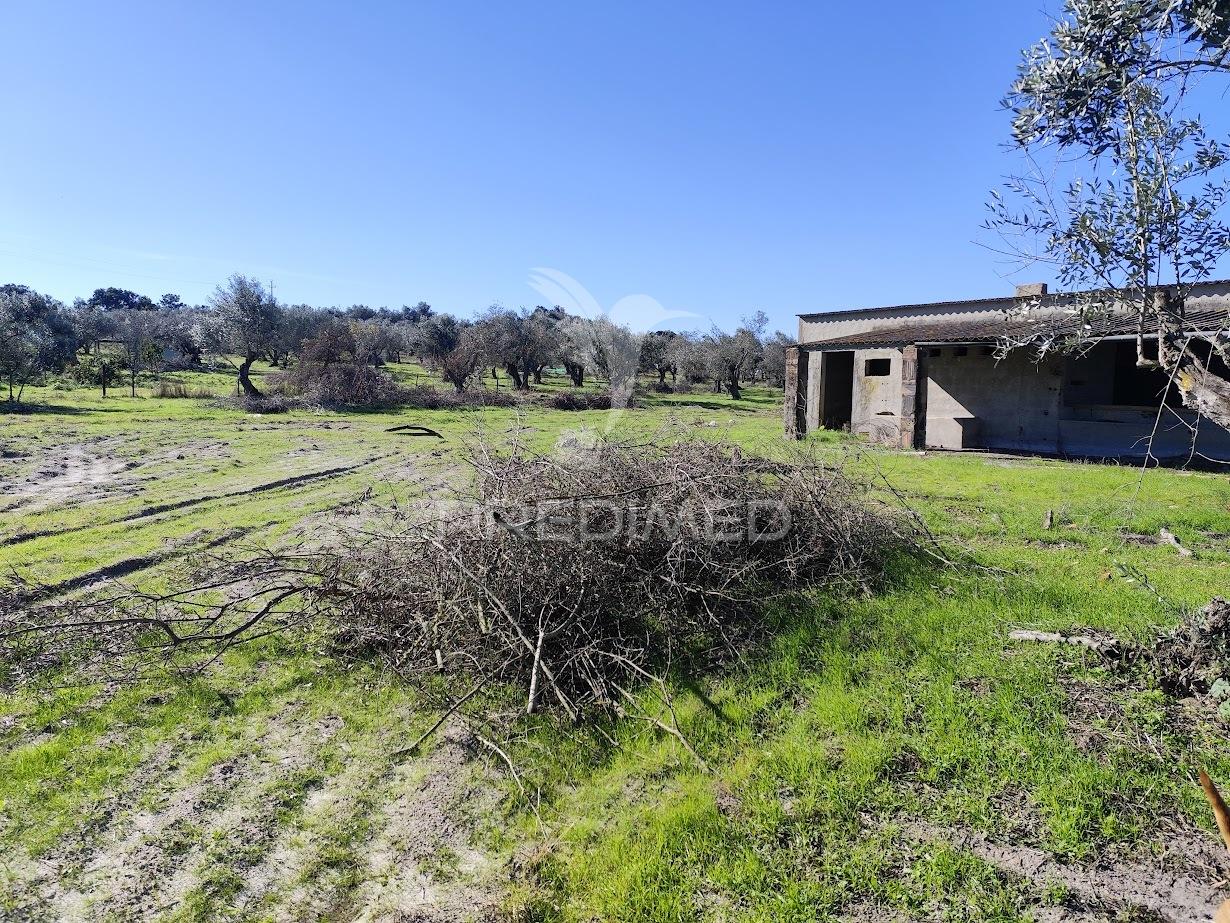 Terreno rustico na aldeia do futuro