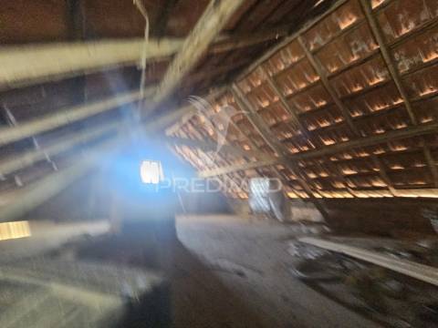 Oportunidade única – moradia no campo com terreno, poço e ruína independe