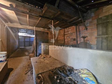 Oportunidade única – moradia no campo com terreno, poço e ruína independe