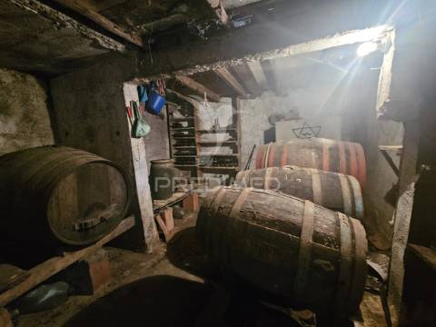 Oportunidade única – moradia no campo com terreno, poço e ruína independe