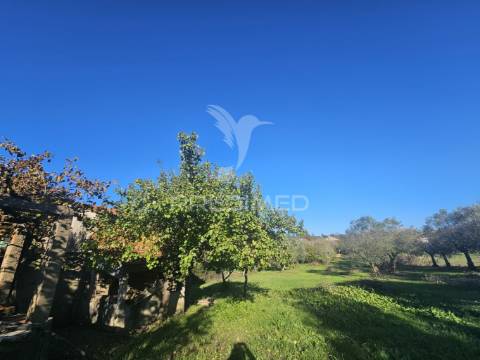 Oportunidade única – moradia no campo com terreno, poço e ruína independe