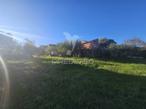 Oportunidade única – moradia no campo com terreno, poço e ruína independe