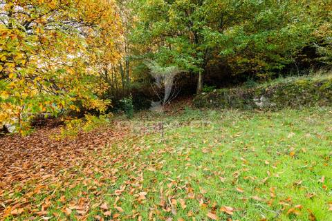 Moradia t1 em ruína em ribeira de pena