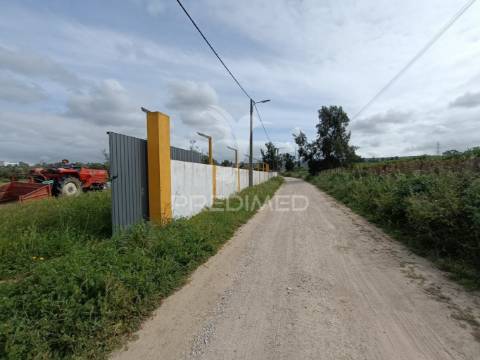 Terreno, duas frentes, com possibilidade de construção, palmela / quinta do anjo