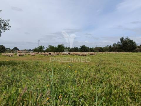 Terreno, duas frentes, com possibilidade de construção, palmela / quinta do anjo