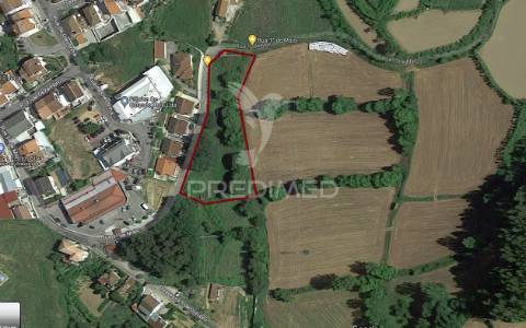 Terreno misto em friande