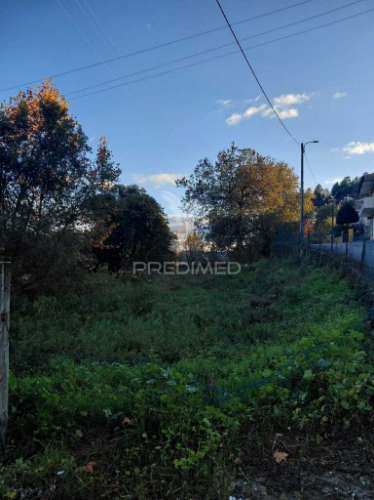 Terreno misto em friande