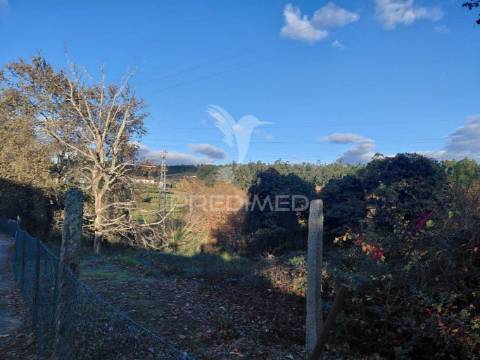 Terreno misto em friande