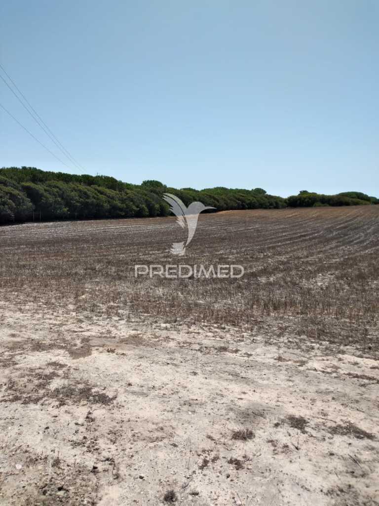 Quintinha com 7200 m2,porto côvo.