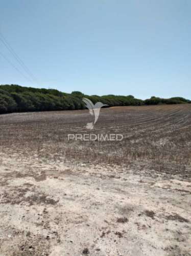 Quintinha com 7200 m2,porto côvo.