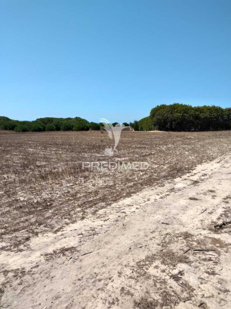 Quintinha com 7200 m2,porto côvo.